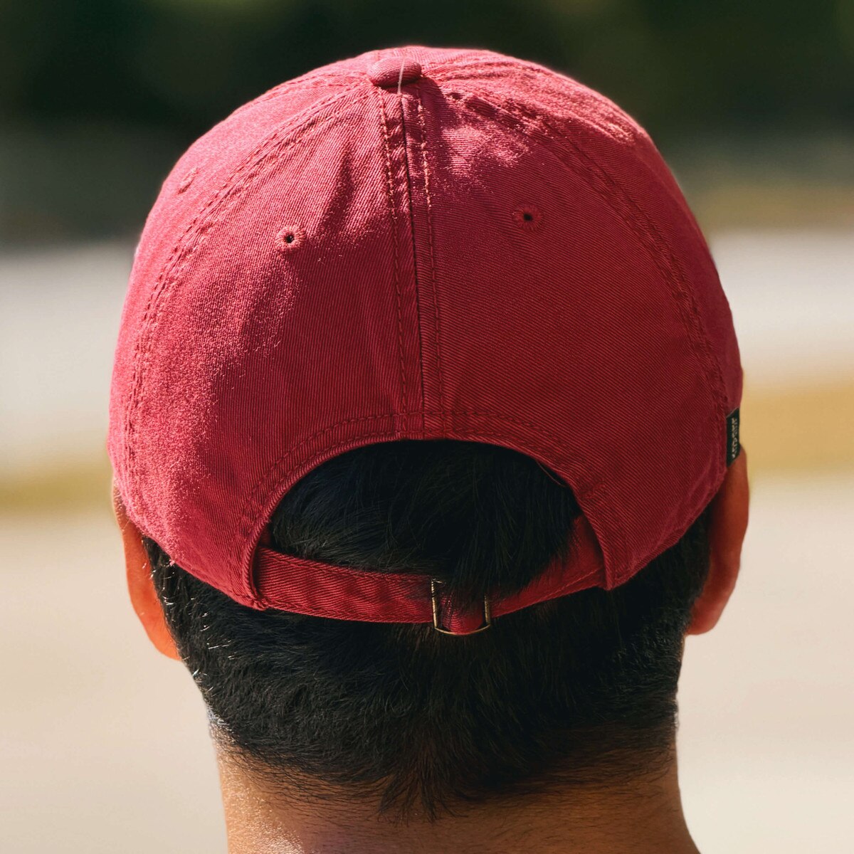 Legacy I-State Cardinal College of Agriculture and Life Sciences Adjustable Hat